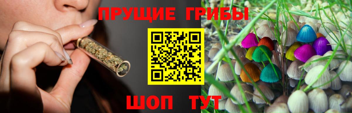 Галлюциногенные грибы мицелий  Галлюциногенные грибы Psilocybe  Барабинск  Вход с VPN 
